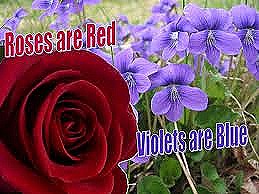 For poems are are roses moms blue red violets Funny Roses