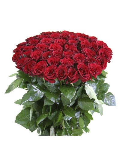50 Long Stem Red Rose Bouquet